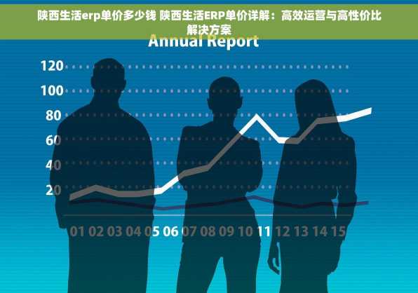 陕西生活erp单价多少钱 陕西生活ERP单价详解：高效运营与高性价比解决方案