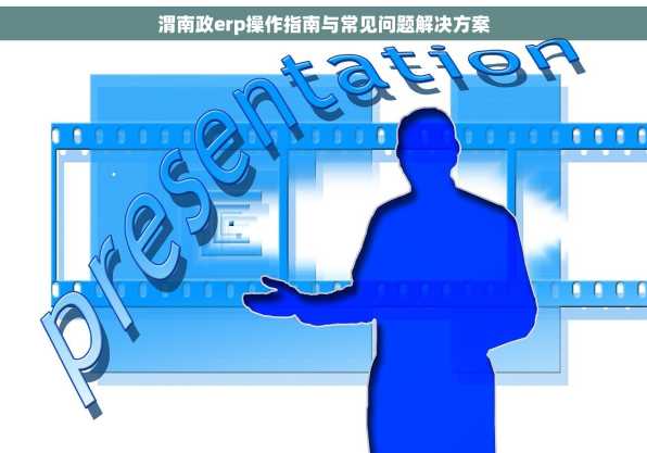 渭南政erp操作指南与常见问题解决方案