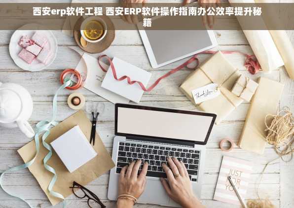 西安erp软件工程 西安ERP软件操作指南办公效率提升秘籍