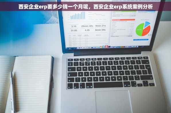 西安企业erp要多少钱一个月呢，西安企业erp系统案例分析