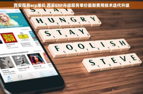 西安服务erp单价 西安ERP升级服务单价最新费用技术迭代升级