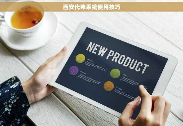 西安代账系统使用技巧