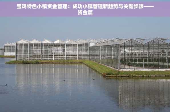 宝鸡特色小镇资金管理：成功小镇管理新趋势与关键步骤——资金篇