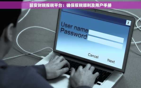 延安财税报税平台：确保报税顺利及用户手册