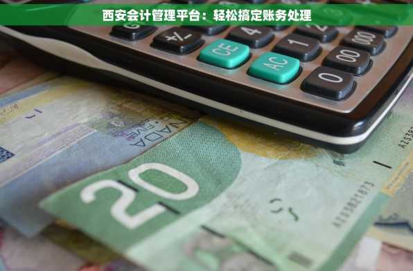 西安会计管理平台：轻松搞定账务处理