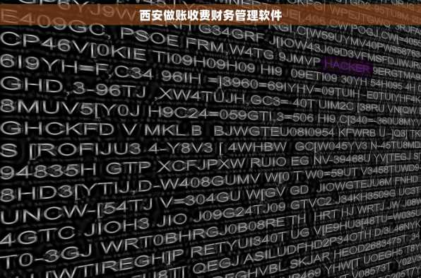 西安做账收费财务管理软件