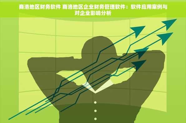 商洛地区财务软件 商洛地区企业财务管理软件：软件应用案例与对企业影响分析