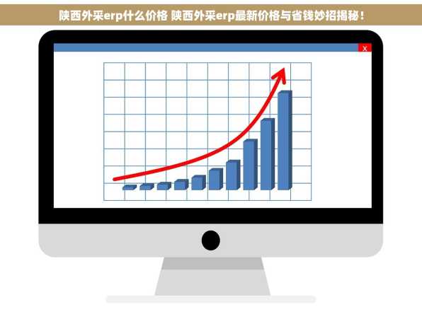 陕西外采erp什么价格 陕西外采erp最新价格与省钱妙招揭秘！
