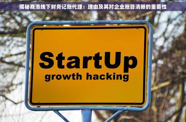 揭秘商洛线下财务记账代理：理由及其对企业账目清晰的重要性