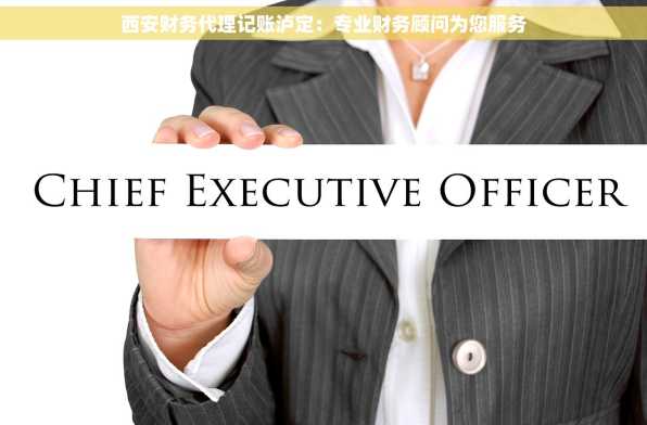 西安财务代理记账泸定：专业财务顾问为您服务