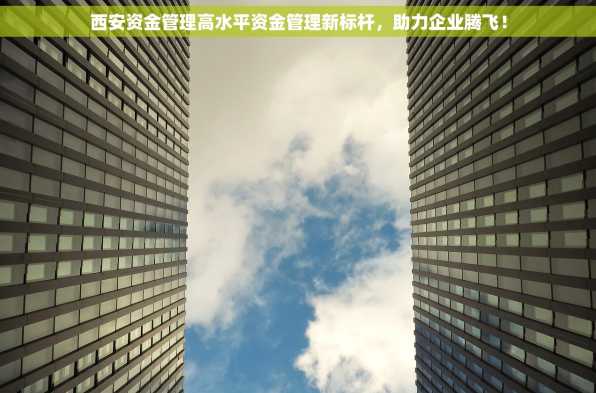 西安资金管理高水平资金管理新标杆，助力企业腾飞！