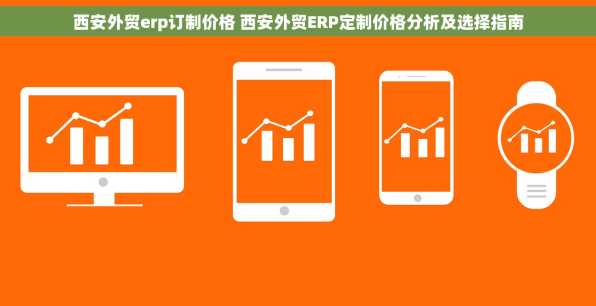 西安外贸erp订制价格 西安外贸ERP定制价格分析及选择指南
