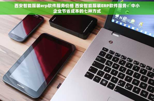 西安智能服装erp软件服务价格 西安智能服装ERP软件服务：中小企业节省成本的七种方式