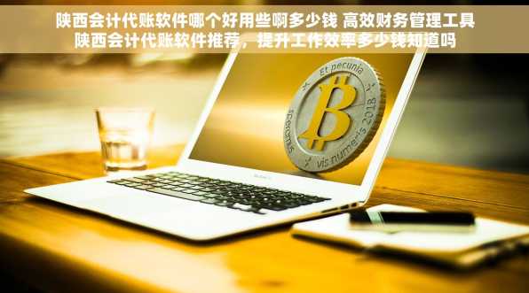 陕西会计代账软件哪个好用些啊多少钱 高效财务管理工具陕西会计代账软件推荐，提升工作效率多少钱知道吗