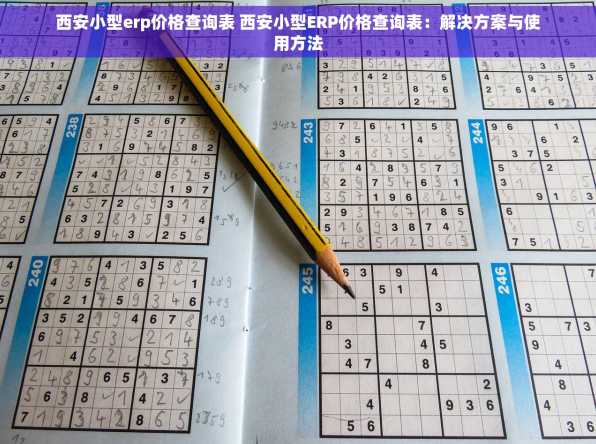 西安小型erp价格查询表 西安小型ERP价格查询表：解决方案与使用方法
