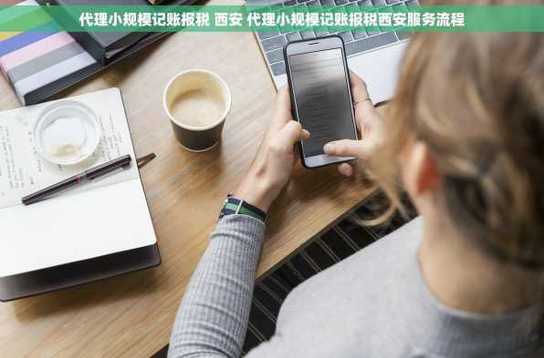 代理小规模记账报税 西安 代理小规模记账报税西安服务流程