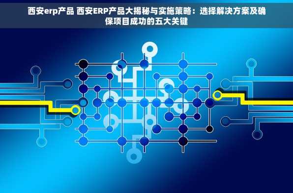 西安erp产品 西安ERP产品大揭秘与实施策略：选择解决方案及确保项目成功的五大关键
