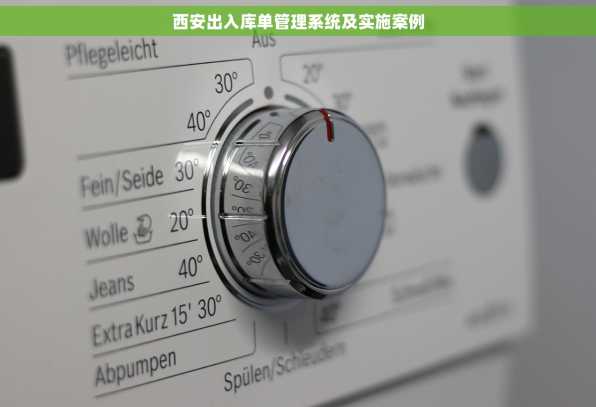 西安出入库单管理系统及实施案例