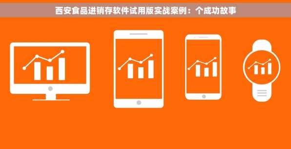 西安食品进销存软件试用版实战案例：个成功故事