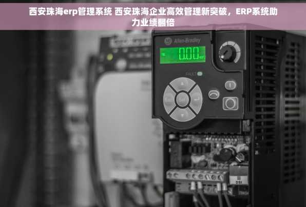 西安珠海erp管理系统 西安珠海企业高效管理新突破，ERP系统助力业绩翻倍
