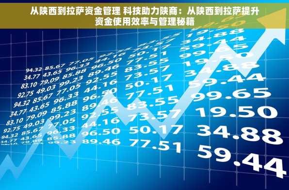 从陕西到拉萨资金管理 科技助力陕商：从陕西到拉萨提升资金使用效率与管理秘籍