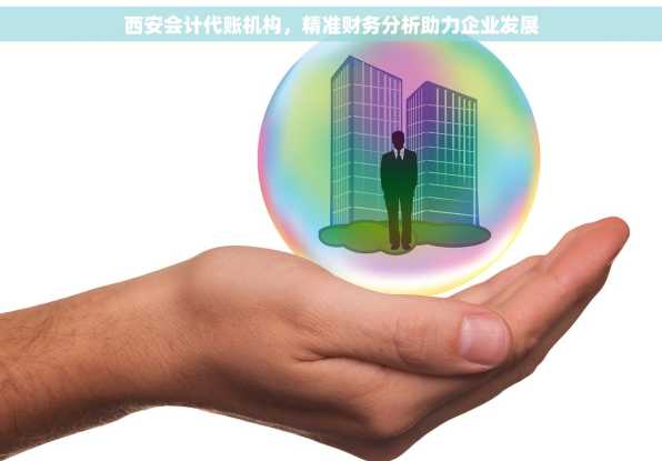西安会计代账机构，精准财务分析助力企业发展