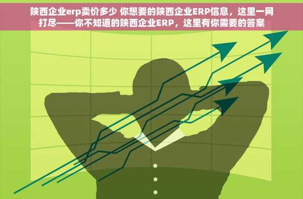 陕西企业erp卖价多少 你想要的陕西企业ERP信息，这里一网打尽——你不知道的陕西企业ERP，这里有你需要的答案