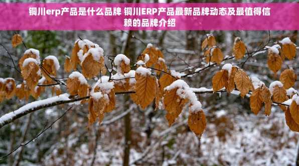 铜川erp产品是什么品牌 铜川ERP产品最新品牌动态及最值得信赖的品牌介绍
