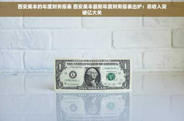 西安美丰的年度财务报表 西安美丰最新年度财务报表出炉：总收入突破亿大关