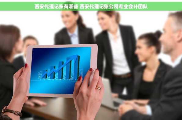 西安代理记账有哪些 西安代理记账公司专业会计团队