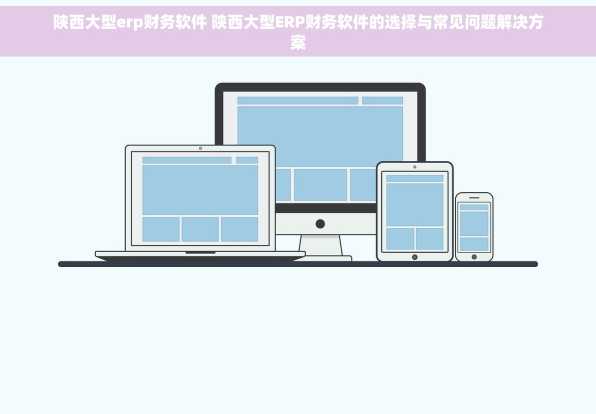 陕西大型erp财务软件 陕西大型ERP财务软件的选择与常见问题解决方案