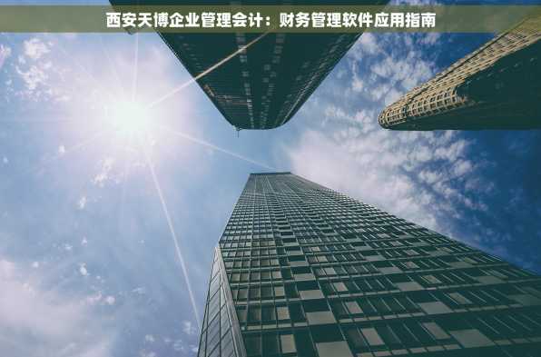 西安天博企业管理会计：财务管理软件应用指南