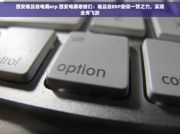 西安唯品会电商erp 西安电商老板们：唯品会ERP助你一臂之力，实现业务飞跃
