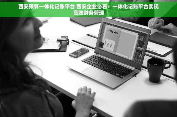 西安预算一体化记账平台 西安企业必看：一体化记账平台实现高效财务管理