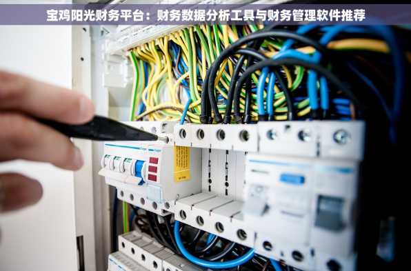 宝鸡阳光财务平台：财务数据分析工具与财务管理软件推荐