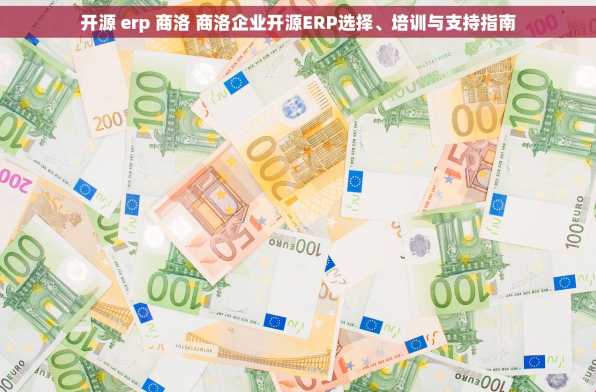 开源 erp 商洛 商洛企业开源ERP选择、培训与支持指南