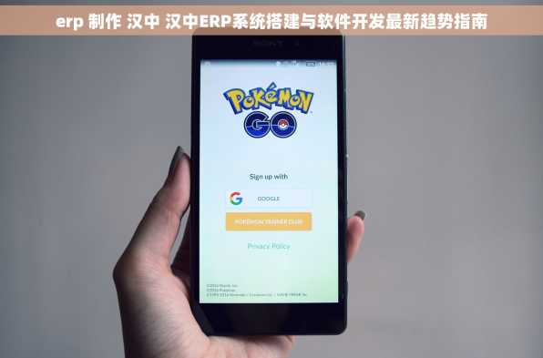 erp 制作 汉中 汉中ERP系统搭建与软件开发最新趋势指南