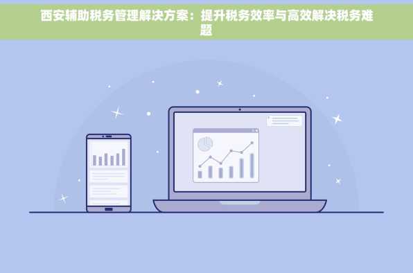西安辅助税务管理解决方案：提升税务效率与高效解决税务难题