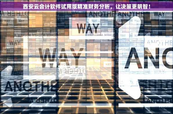 西安云会计软件试用版精准财务分析，让决策更明智！