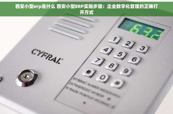 西安小型erp是什么 西安小型ERP实施步骤：企业数字化管理的正确打开方式