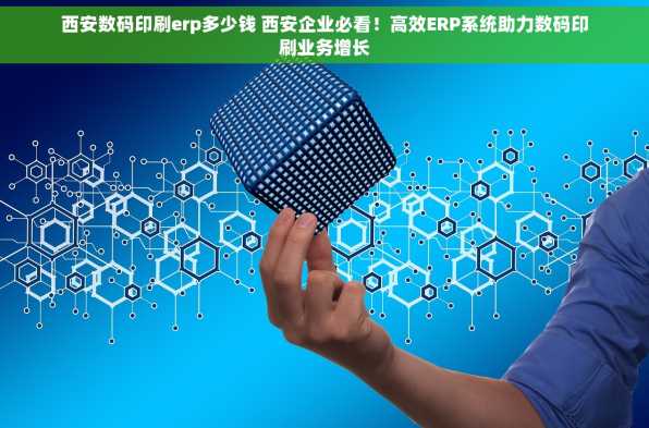西安数码印刷erp多少钱 西安企业必看！高效ERP系统助力数码印刷业务增长