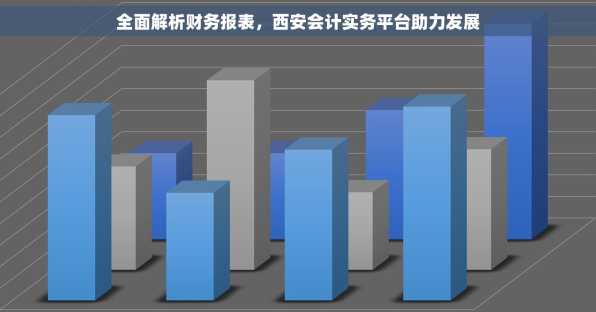 全面解析财务报表，西安会计实务平台助力发展