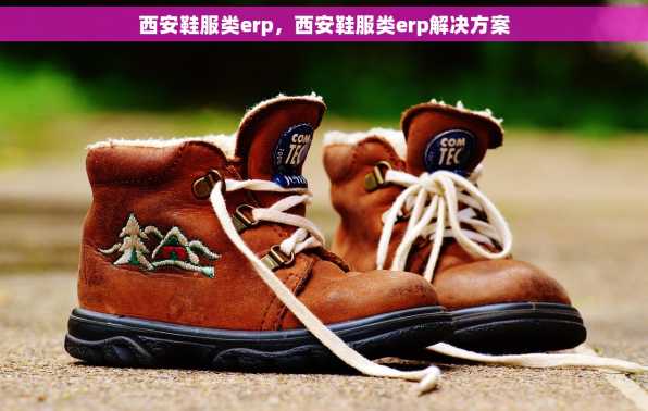 西安鞋服类erp，西安鞋服类erp解决方案
