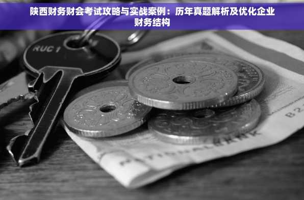 陕西财务财会考试攻略与实战案例：历年真题解析及优化企业财务结构