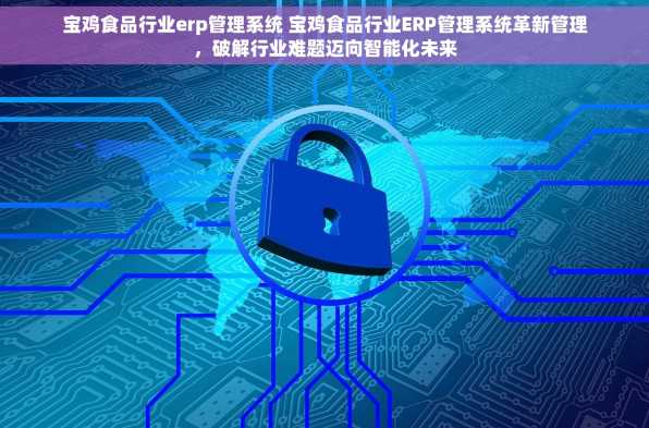 宝鸡食品行业erp管理系统 宝鸡食品行业ERP管理系统革新管理，破解行业难题迈向智能化未来