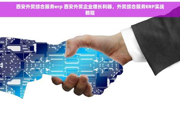 西安外贸综合服务erp 西安外贸企业增长利器，外贸综合服务ERP实战教程