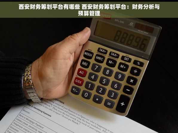 西安财务筹划平台有哪些 西安财务筹划平台：财务分析与预算管理
