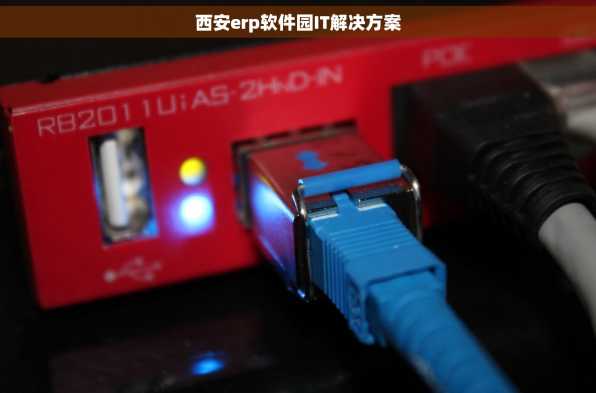 西安erp软件园IT解决方案