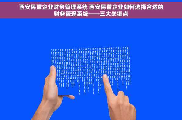 西安民营企业财务管理系统 西安民营企业如何选择合适的财务管理系统——三大关键点