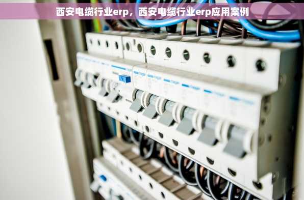 西安电缆行业erp，西安电缆行业erp应用案例